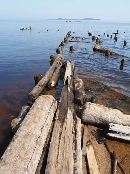 Alte Pfähle im See — Stockfoto