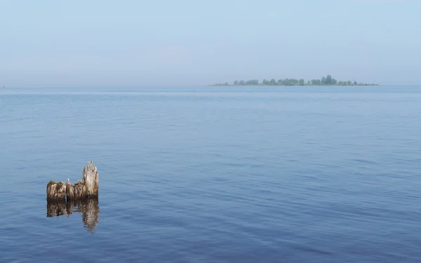 Old piles in the lake — Stock Photo, Image