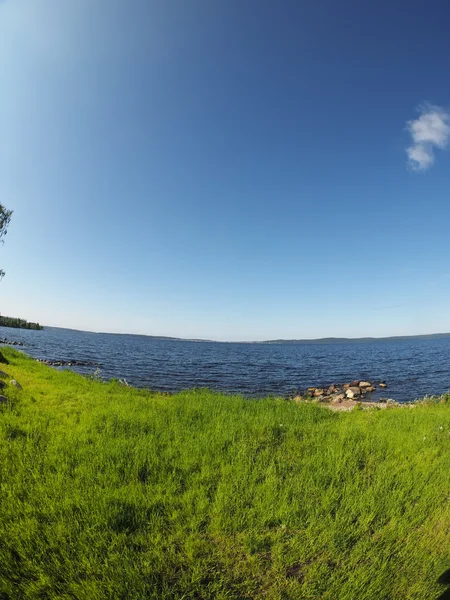 Grass on the lake — Stock Photo, Image