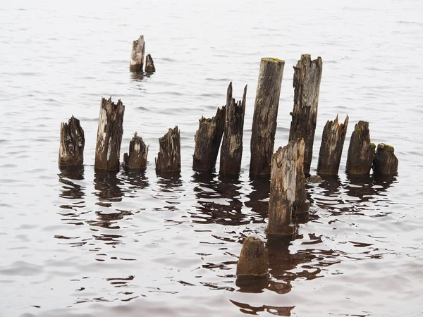 Old piles in the lake Royalty Free Stock Photos