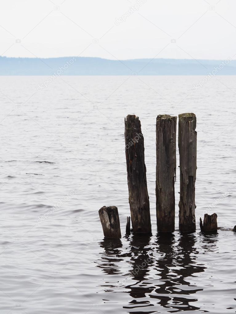 old piles in the lake