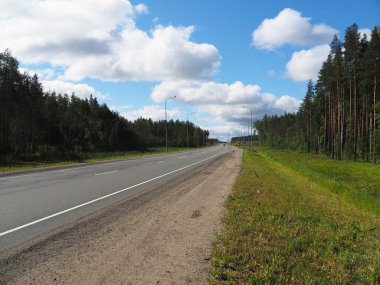 Ormanda asfalt yol