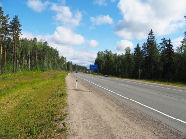 Ormanda asfalt yol