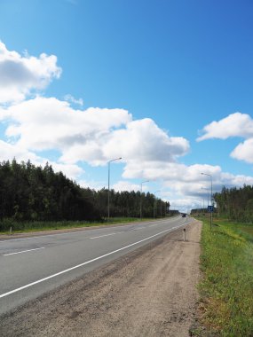Ormanda asfalt yol