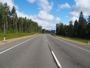 Ormanda asfalt yol