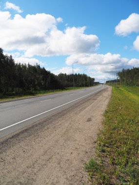 Ormanda asfalt yol