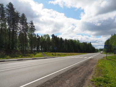 Ormanda asfalt yol