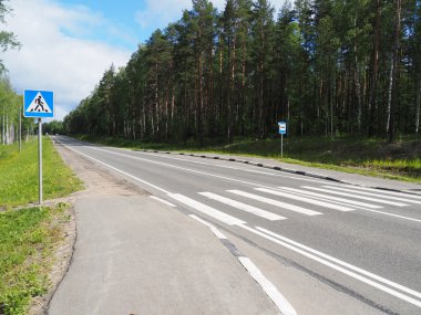 Ormanın içinde yaya geçidi