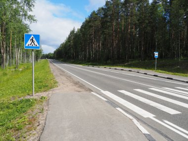 Ormanın içinde yaya geçidi