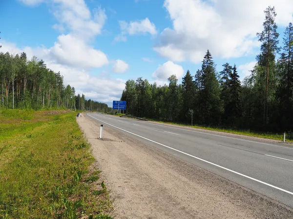 asphalt road in the forest