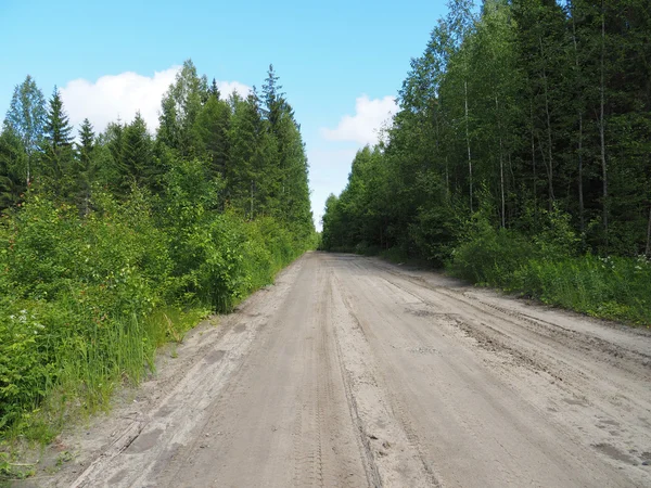 Ormandaki toprak yolda.