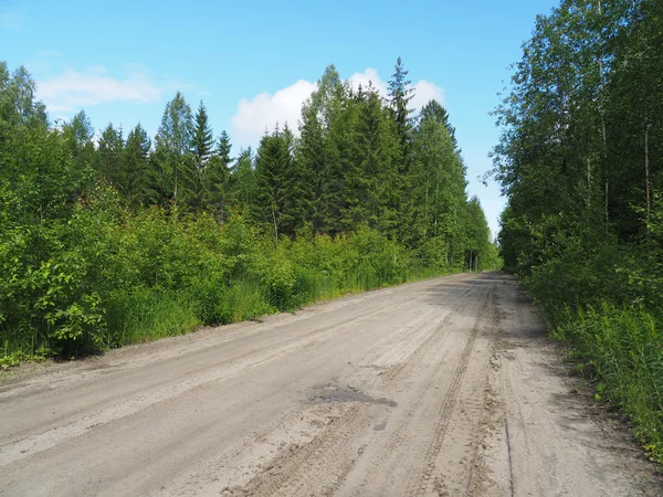 Ormandaki toprak yolda.