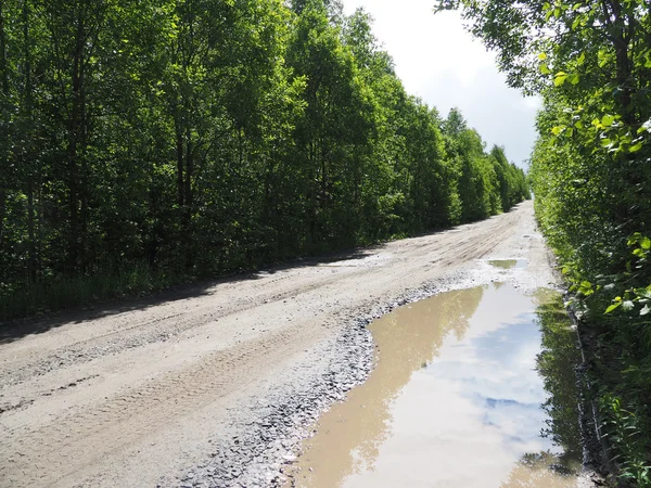 Ormandaki toprak yolda.