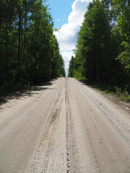 Ormandaki toprak yolda.