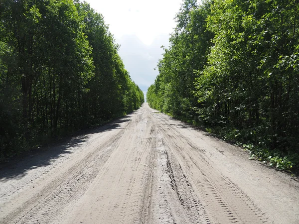 Estrada de terra na floresta — Fotografia de Stock