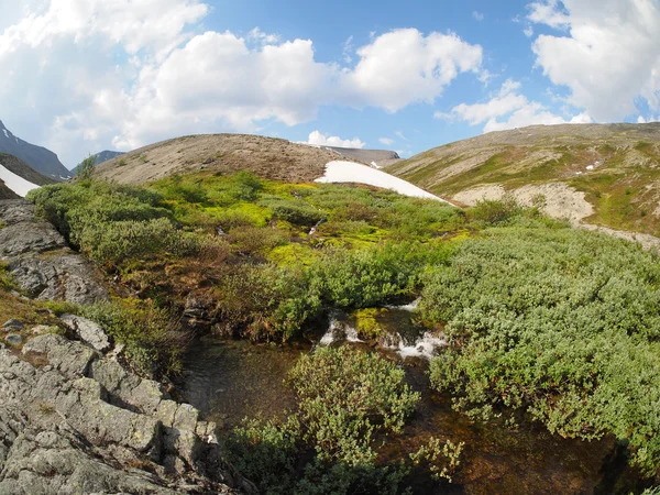 Fiume di montagna — Foto Stock