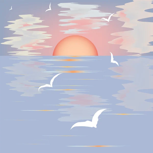 Seascape with sunset and seagulls — Stock Vector