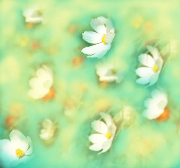 Fondo abstracto con flores en colores pastel — Foto de Stock