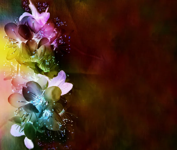 Листівка запрошення з яскравими квітами на забарвленому темному фоні — стокове фото