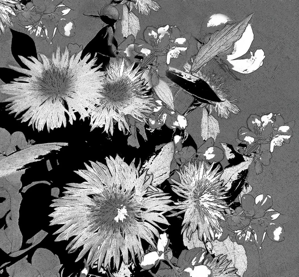 黑色和白色 grunge 素描花卉卡 — 图库照片