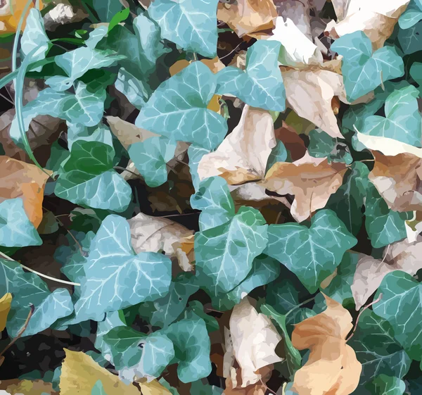 Fundo outonal com folhas de hera verde e folhagem morta seca na terra — Vetor de Stock