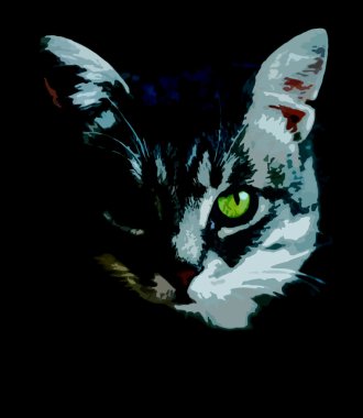 kedi kroki exppressive yüzüyle önemle üzerinde siyah zemin üzerine yeşil göz