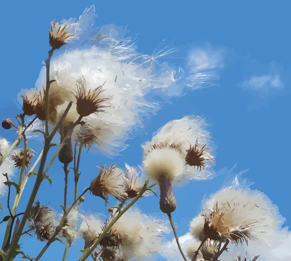 White fuzzy wild flowers with flying seeds on blue sky background — Stock Vector