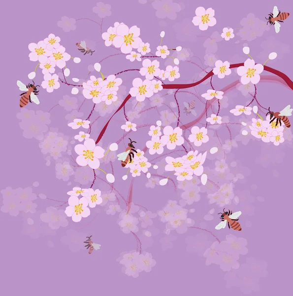 Blommande cherry och bin — Stockfoto