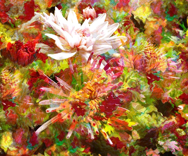 Stiliserade vintage blommig färgstarka bakgrund med krysantemum — Stockfoto