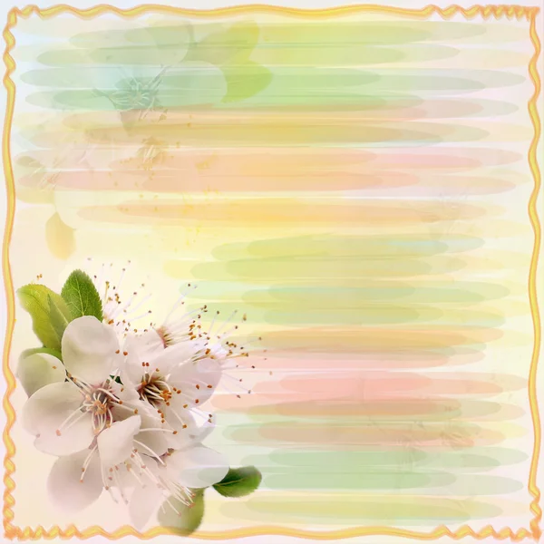 Greeting floral card with blossom cherry on grunge striped background with wavy frame — Stock Fotó