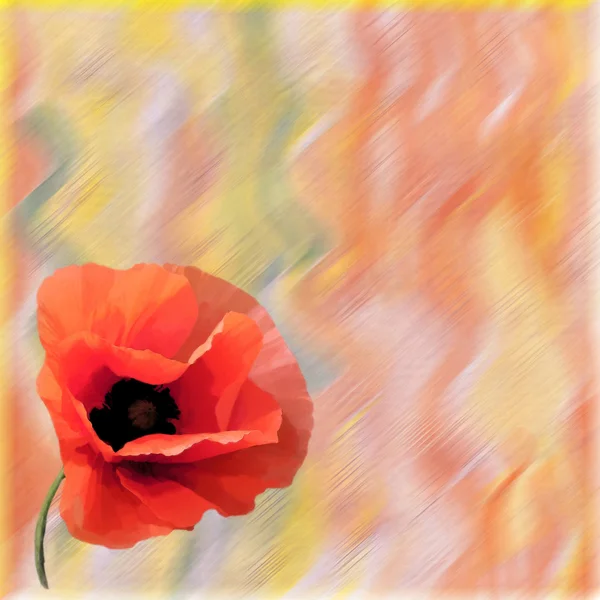 Greeting card with red poppy on grunge stained colorful watercolor background — Stock Photo, Image