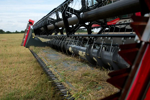 tahıl kafa birleştirmek.