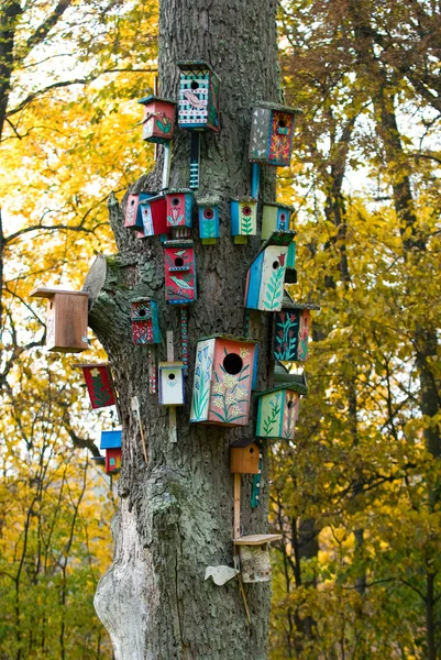 Colorful birds houses — Stock Photo, Image