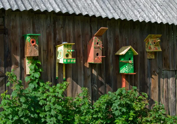 Colorido pájaro casa — Foto de Stock