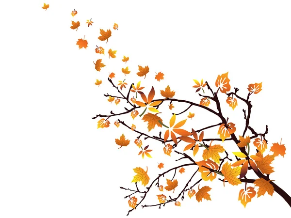Autumnal branch — Stock Vector