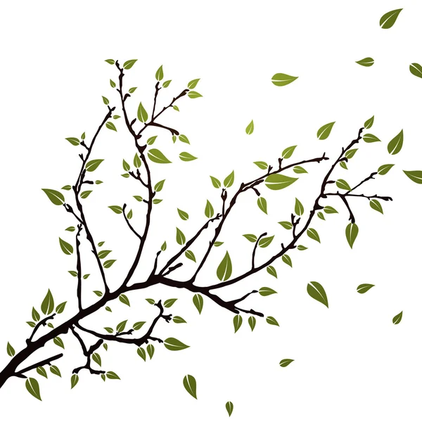 Ветка с листьями — стоковый вектор