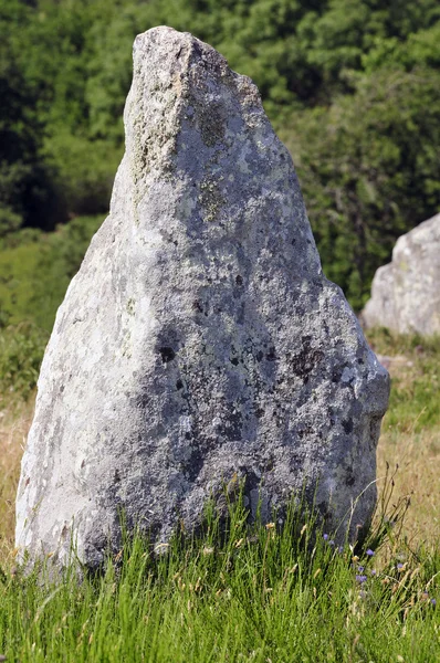 Piedras de pie en Carnac en Francia — Foto de Stock