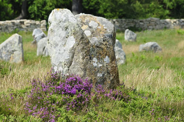 Standing stones at Carnac in France — Stock Photo, Image