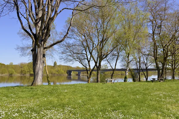 The banks of the Vienne river — Stock Photo, Image