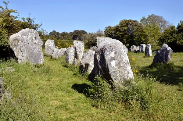 Pedras de pé em Erdeven, na França — Fotografia de Stock
