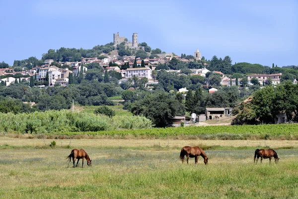 Aldeia paisagística de Grimaud na França — Fotografia de Stock