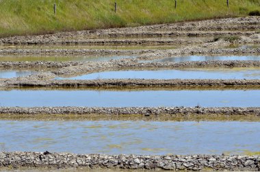 saint-armel Fransa, tuz pan