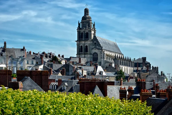 Cattedrale Saint Louis Vista Dai Tetti Blois Comune Capitale Del — Foto Stock