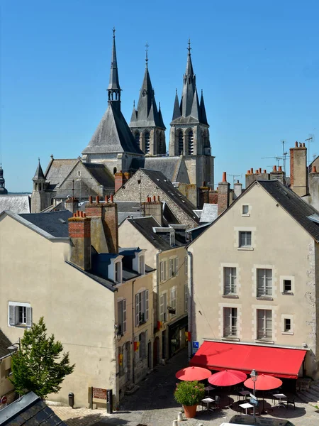 圣尼古拉教堂座落在法国卢瓦尔河中心区卢瓦尔省首府布利斯市的屋顶上 位于卢瓦尔河下游 位于奥兰斯河和图尔河之间 — 图库照片