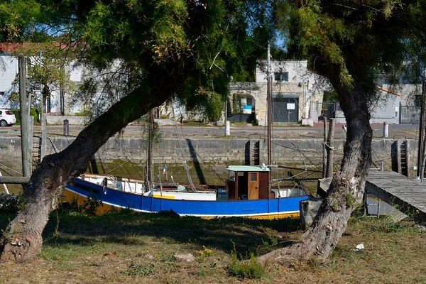 Boat Two Tamarisk Trees Tremblade Commune Charente Maritime Department Nouvelle — Foto Stock