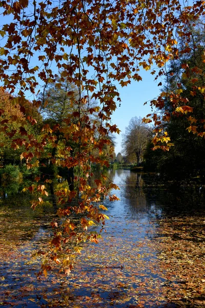 Estanque Árboles Con Follaje Otoñal Francia Departamento Ile France — Foto de Stock