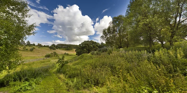 Sommerlandschaft — Stockfoto