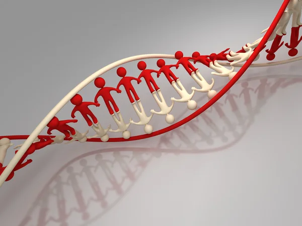 Menselijke dna — Stockfoto