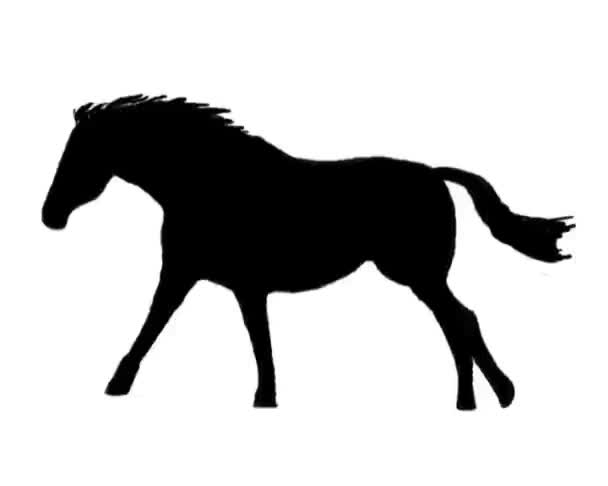 cheval