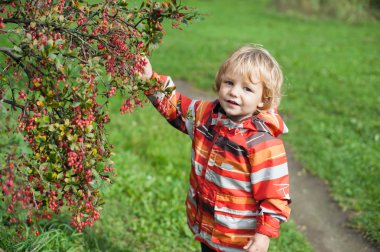 Sonbahar parkındaki çocuk.